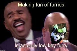 Image result for Furry Council Unite Meme