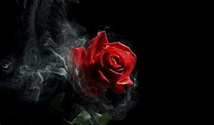 Image result for Gothic Roses Wallpaper