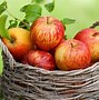 Image result for Apple Fruit Background Wallpaper