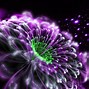 Image result for 3D Flower Wallpaper Backgrounds Computer