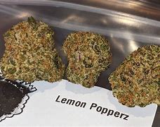 Image result for Lemon Popers Strain Weed