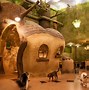 Image result for Cat Cafe Tokyo Japan