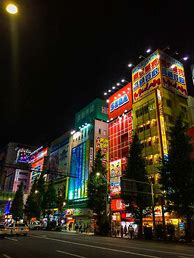 Image result for Akihabara Neighborhood