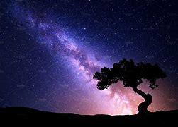 Image result for Milky Way Tree