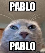 Image result for Pablo Funny