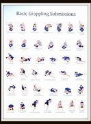 Image result for Jiu Jitsu Exercises