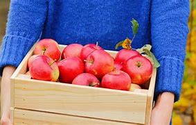 Image result for Fresh Whole Apples