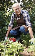 Image result for Gardeners