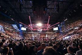 Image result for MMA Arena