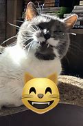 Image result for Smiling Cat Emoji Meme