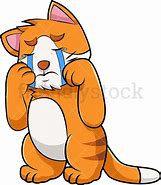Image result for Crying Cat Collage