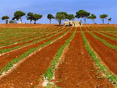 apulia bari puglia in pictures why to the heel now apulia bari puglia in pictures why to the heel now