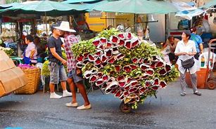 Image result for Flower Market Bangkok Thailand