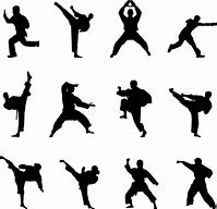 Image result for Martial Arts Ladies