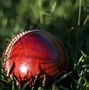 Image result for Best Cricket Pictures