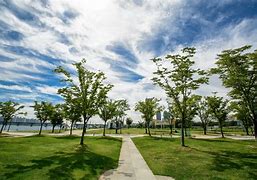 Image result for Yeouido Park Seoulido