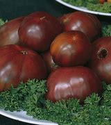 Image result for Russian Tomatoes