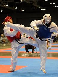 Image result for Martial Arts Kick