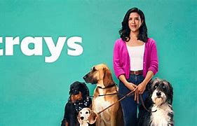 Image result for Strays TV Show