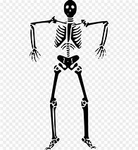 Image result for Skeleton Vector Free