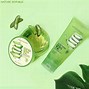 Image result for Aloe SunBurn