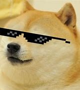 Image result for Cool Doge Meme