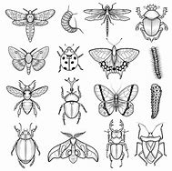 Image result for Insect Outline for SVG