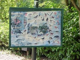 Image result for Moseley Wildlife Park