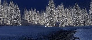 Image result for Winter Dual Screen