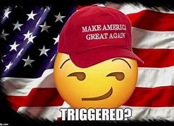 Image result for Maga Memes