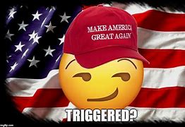 Image result for Funny Maga Memes