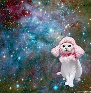 Image result for Space Cat iPhone 5 Case