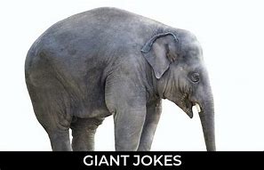 Image result for Jokes About Giants