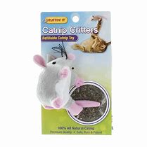 Image result for Refillable Catnip Toys