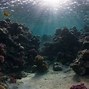Image result for Glowing Light Underwater