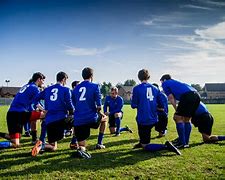 Image result for Organizational Chart for Proffesional Sports Team