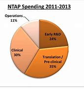 Image result for ntap stock