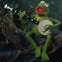 Image result for Frog Background for Xbox