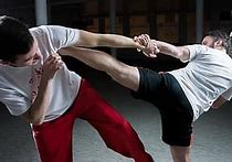 Image result for Martial Arts Workout School