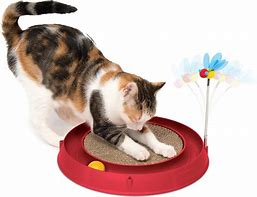 Image result for Cat Scratch Ball Toy
