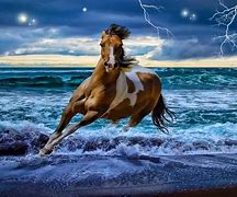 Image result for Amazing Horse Background