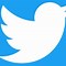 Image result for Twitter Logo Graphic