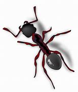 Image result for Ant ClipArt Black and White