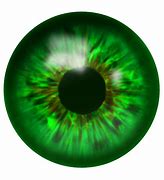 Image result for Understanding Eye Prescription