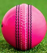 Image result for Season Ball Cricket