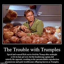 Image result for Star Trek Tribbles Meme