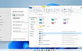 Image result for Windows 11 Files App