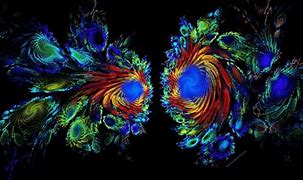 Image result for Abstract Peacock Feather Wallpaper