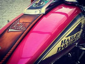 Image result for Harley-Davidson Battery