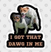 Image result for The Dawg in Me